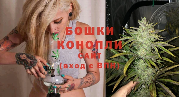 mdpv Белокуриха