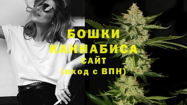 mdpv Белокуриха