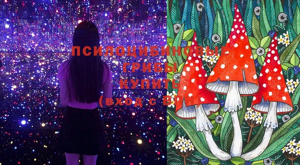 стафф Белоозёрский
