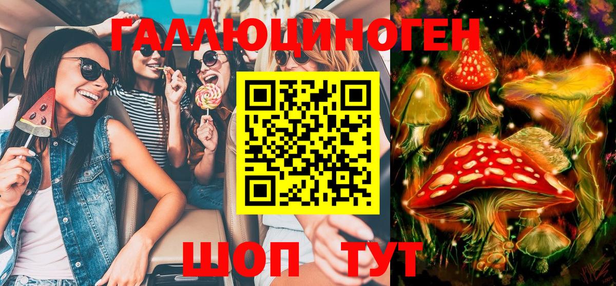 наркота  Вход с VPN  Вязники  Псилоцибиновые грибы Psilocybe 